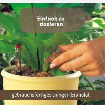 Preview: Anleitung Blusana